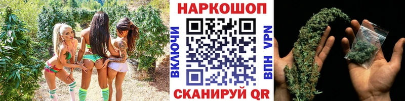 Купить наркотик Старица Cocaine  АМФ  Галлюциногенные грибы  A-PVP  ГАШ 