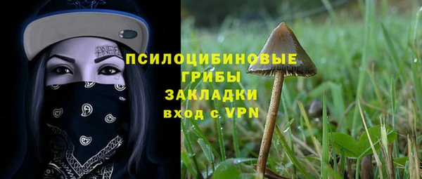 спиды Богородицк