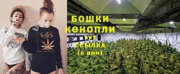 крисы Пестово