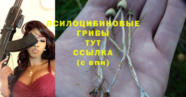 наркотики Белокуриха