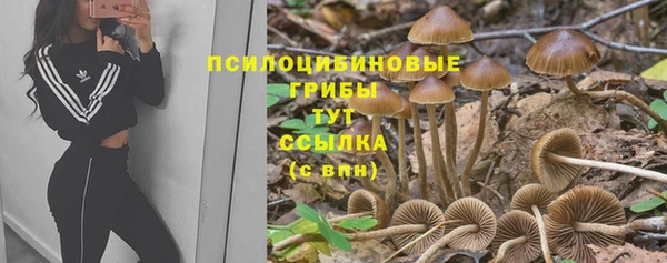 экстази Беломорск