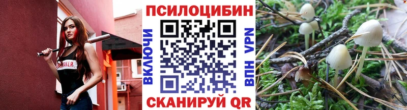 Псилоцибиновые грибы мухоморы  Старица 